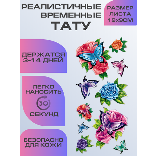 ���� ���� ���������� ��������������, ��������� �������