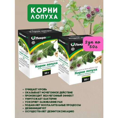 ���� �����-��� ����� ������ ������������ 2�� �� 50�