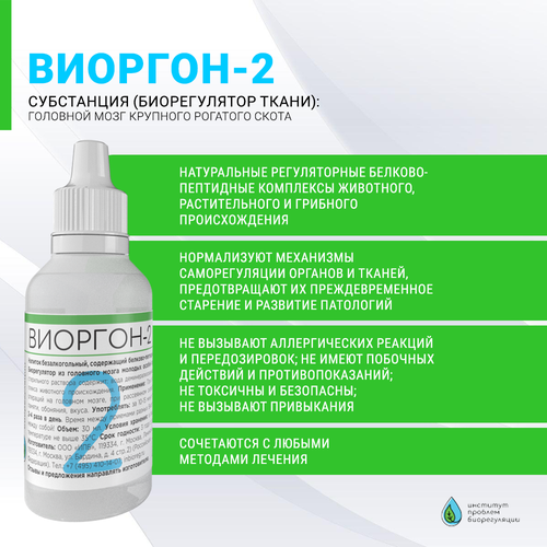 ���� �������-2 ��������� ������ ��������� �����. ������������ ���������.