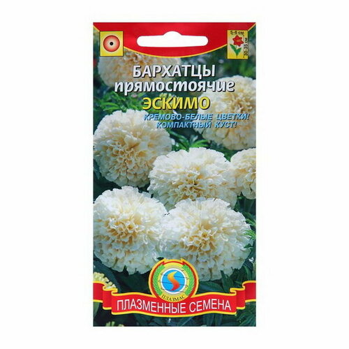 ���� ������ �������� ����������� 