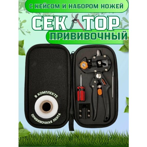 ���� ������� ������� �����������