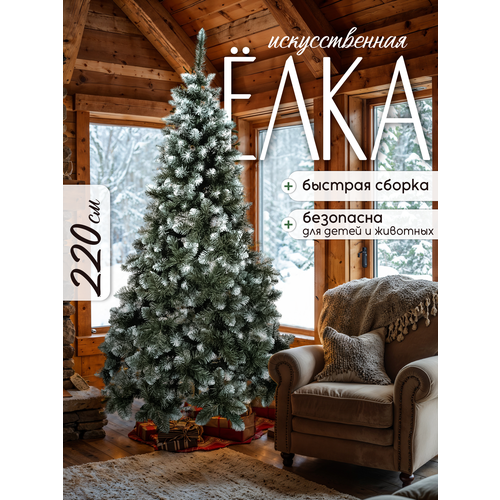 ���� ������������� ����������� ���� 