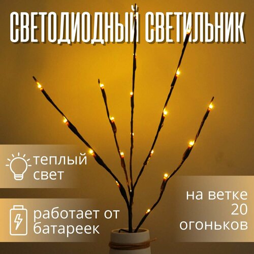 ���� ����������� ������������ ������� 20 ��������