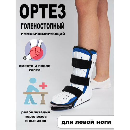 ���� ����� �� ������������� ������ �������, ������ ����������������� ��� ����������� ��� �������, �������, ���������, ������ � �����������. M. �����