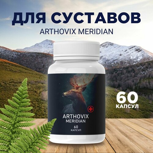       Arthovix Meridian  -     , -  