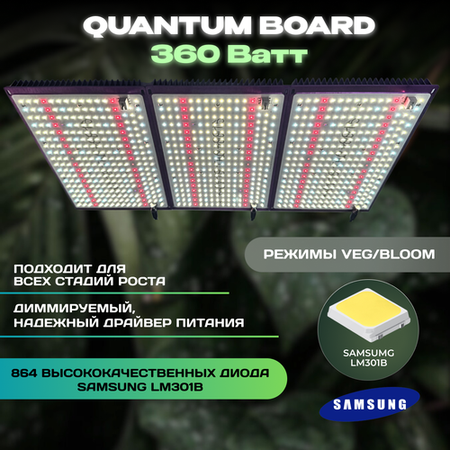    Quantum Board 360 ,  Samsung LM301B     -     , -  