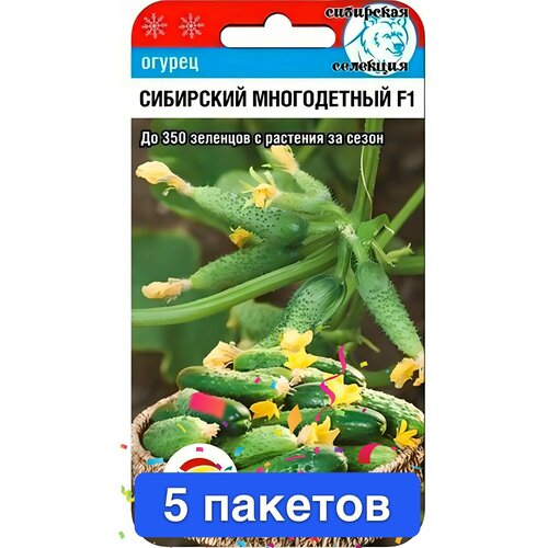 ���� ������ ������ ��������� ��� 