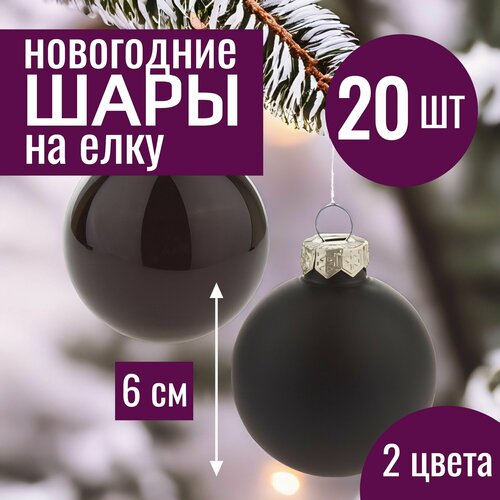 ���� ���� �� ���� ���������� 6�� ����� ������� ������� ������ 20 �� ������