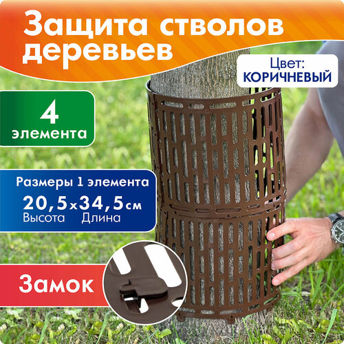 ���� ������ ������� ��������, ������, ������ �� �������� 4 ��. ����������, �������