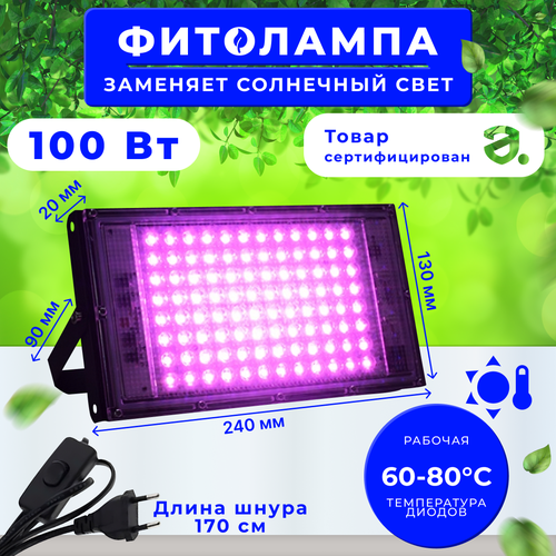      100 ,   ,  ,  ,      -     , -  