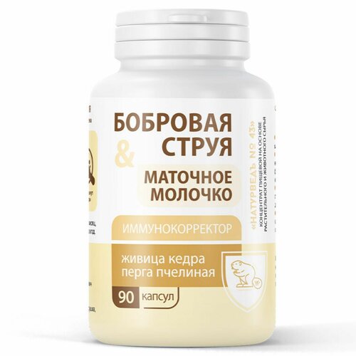 ���� ����� ����� �������� � �������� ��������, 90 ������