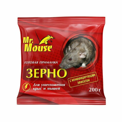    Mr.Mouse,    , , 200   -     , -,   