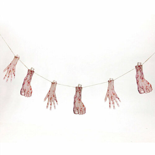 ���� �������� �� �������� �������� 