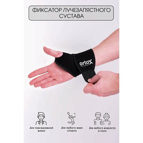 ���� �������� �������������� ������� OrtoX