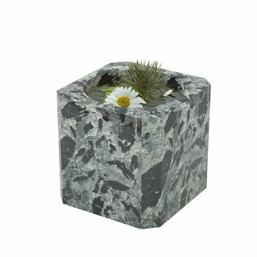 ���� ���������� 