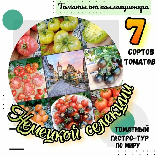 ���� ������ �������, 7 ������ �������� ��������, �������� ������-��� �� ����.