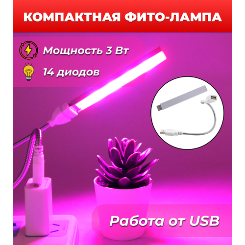         , USB - OG-LDP15  -     , -  