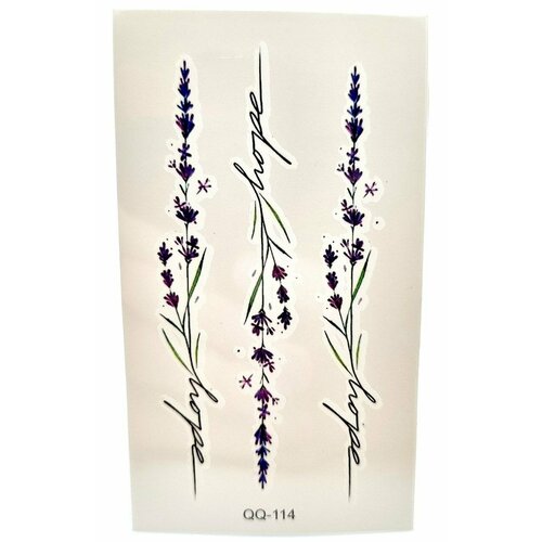 ���� ����� ��������� ���������� 