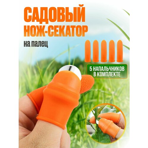 ���� ���������� � ������� ������� �� �����