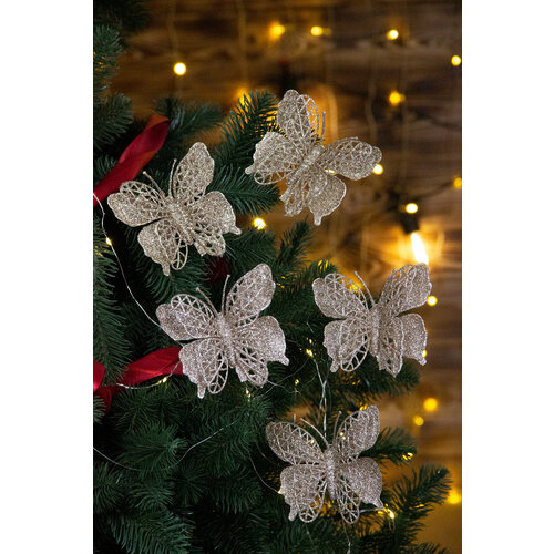 ���� ������� ������� ���������� 