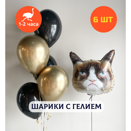 ���� ������ ��������� �� ���� ��������, ��������� ���� � ������, ���� � ���� ��������, ����� ����� ��� ������� 