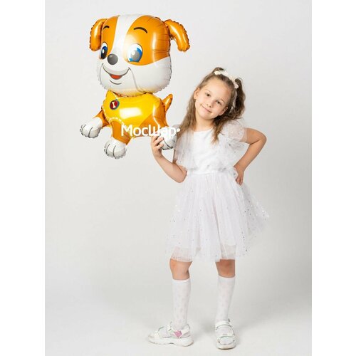 ���� ��������� ��� �������������� ������ 