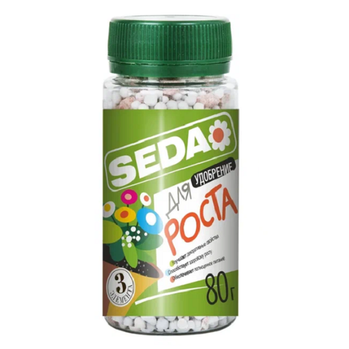      80 Seda  -     , -,   