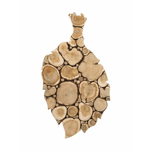 ���� ����� 