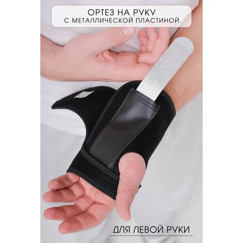 ���� ����� �� ����� ���� / ������ �������������� ������� OrtoX