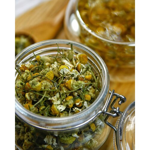 ���� ������ ������� ������� 50 �� - ����� �����, �������, �������� ��������� ���, �������