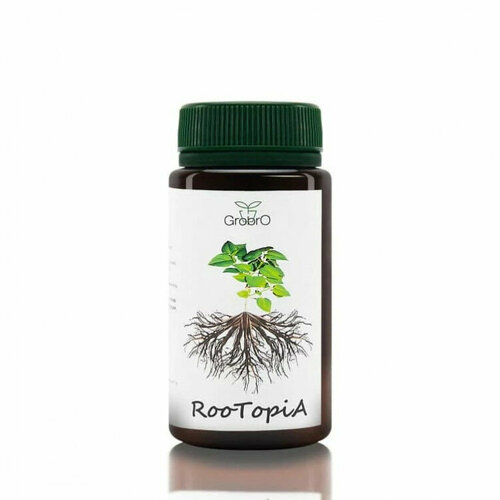   GroBro RooTopiA   50  -     , -,   