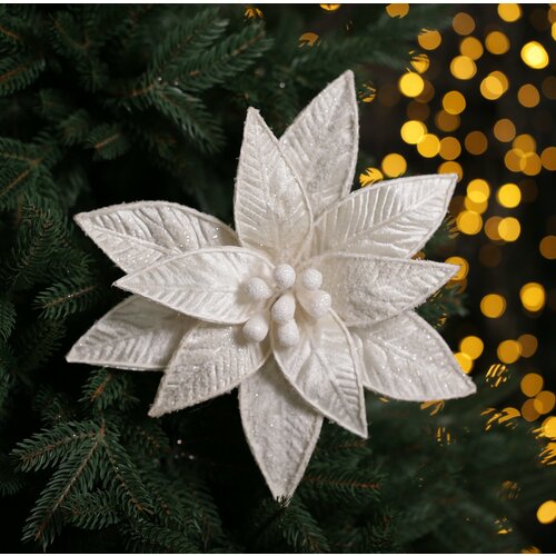 ���� ������ ������������� ������������ ����������, ������� 30 ��, ���� ��������