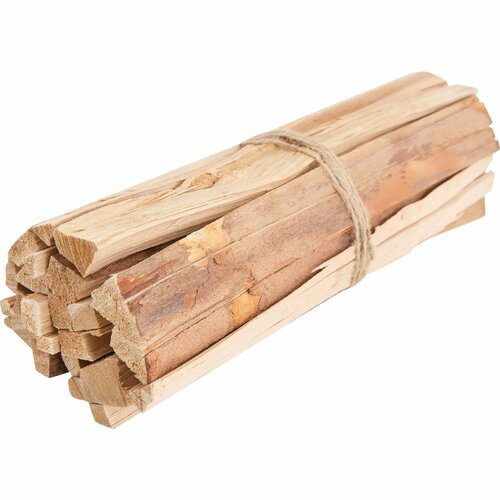 ���� ����� ��������� ��� �������