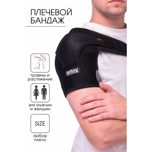 ���� �������� ��������� ������� / ������ �� ����� �������������