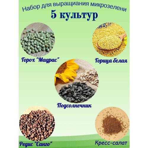 ���� ����� ��� ����������� ����������� 