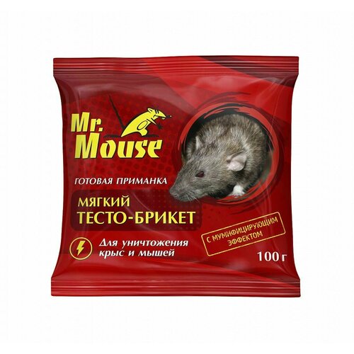   Mr.Mouse  -          100   3   -     , -,   