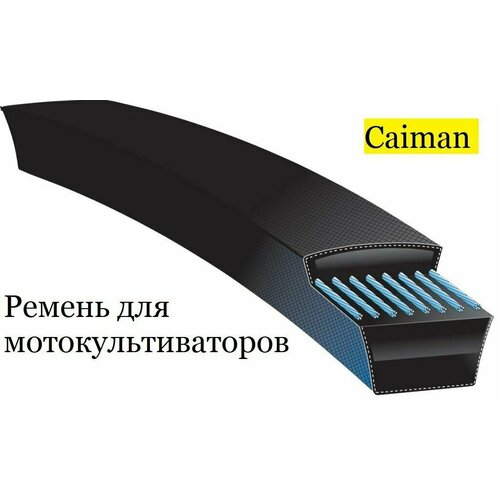       CAIMAN ELITE 60S D2, 0306030003