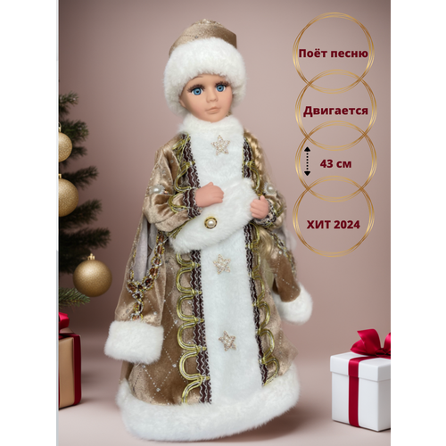 ���� ����������� ����������