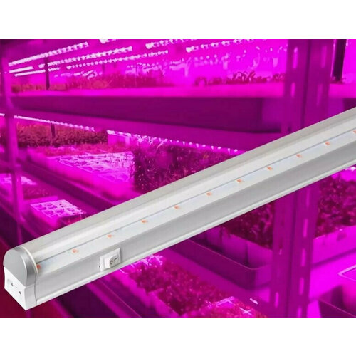   C   Foton Lighting FOTON FL-LED T4- 9W PLANTS 22*30*573 9 220   (  : 2101017  2101018)  -     , -,   