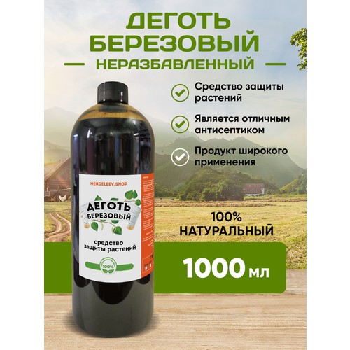 ���� ������ ��������� 1000 ��