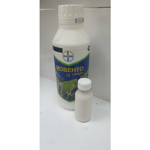 ���� ������� ������� 100��(������ �������)