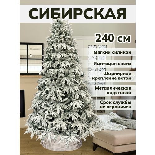 ���� ���� ������������� ����� �� ������ ������ �������