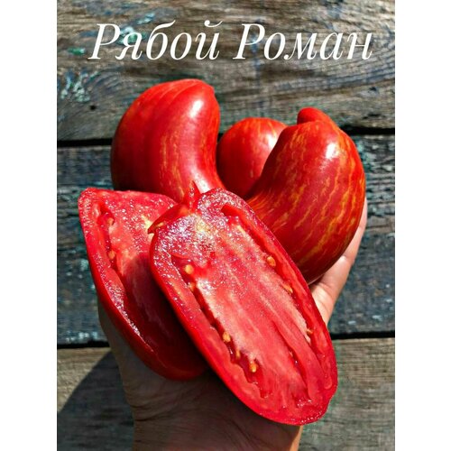 ���� ������������� ������ ������ ����� �����