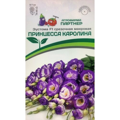 ���� ������ ������� ��������������� ��������� �������� 