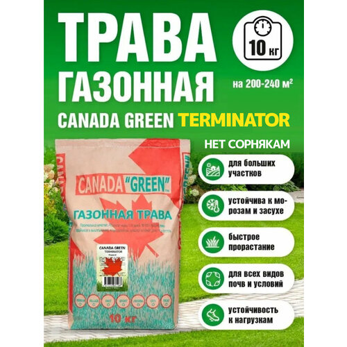          10 / Canada Green Terminator 10  -     , -  