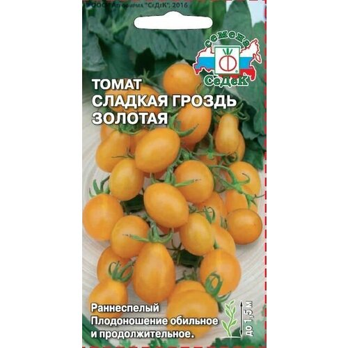 ���� ����� ������� ������ ������� (3 ��������), ������