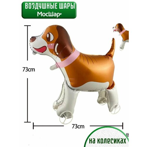 ���� ��������� ��� ������� ������ ������ �� ���������