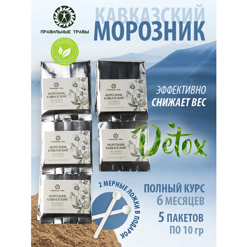 ���� �������� ���������� 