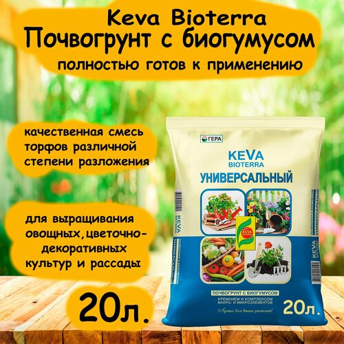    KEVA BIOTERRA , 20. ''  -     , -,   