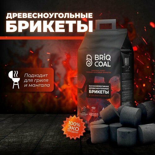   BriqPACK 2.5  -    BRIQCOAL  -     , -  